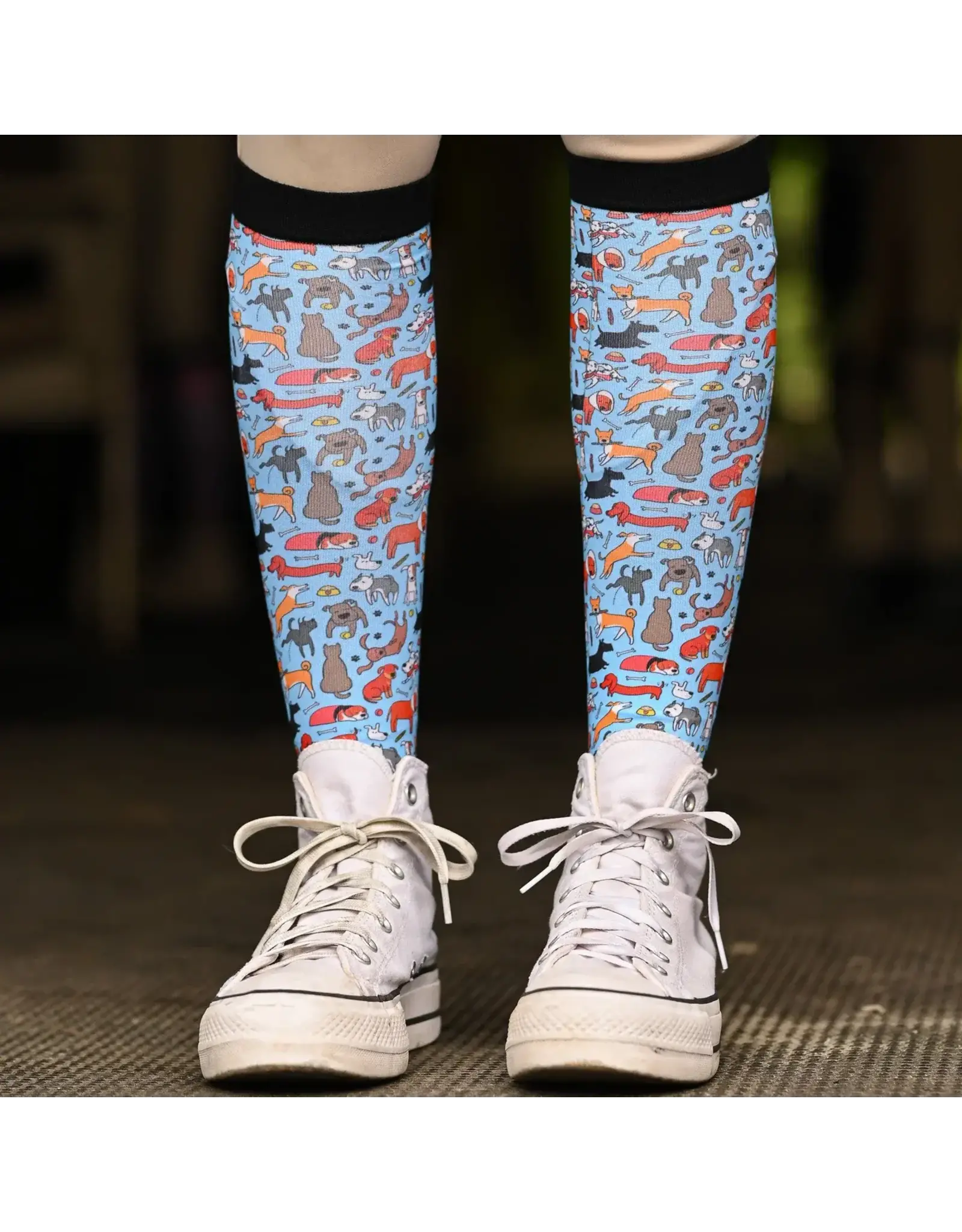 Dreamers and Schemers Socks Pair and a Spare Adult