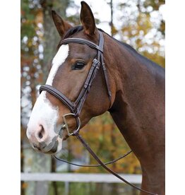 Shires Avignon Ocala Bridle with Reins