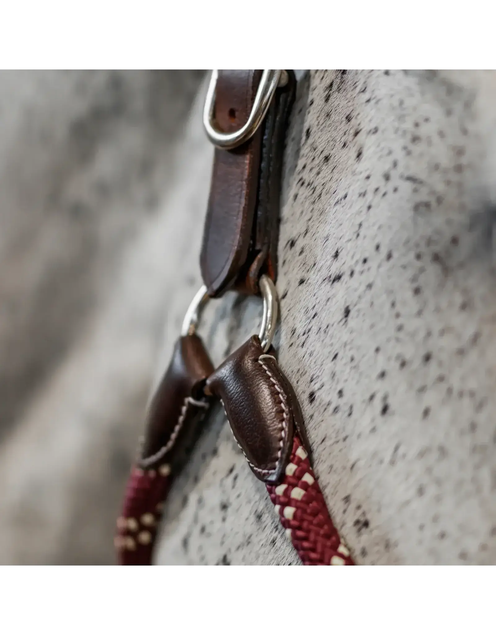 CommonWealth Banff Leather and Rope Halter Set