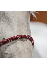 CommonWealth Banff Leather and Rope Halter Set