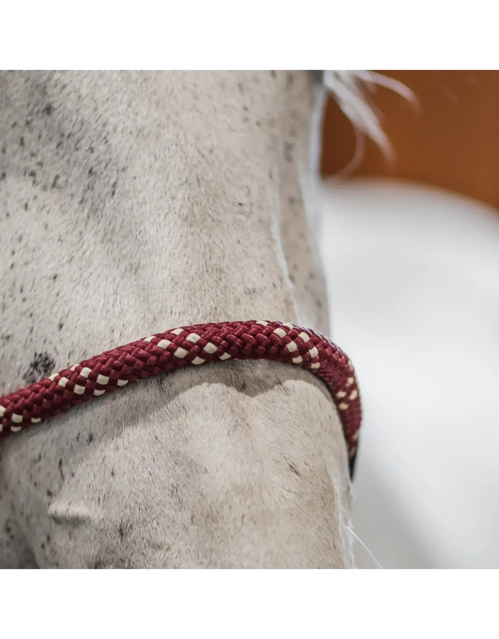 CommonWealth Banff Leather and Rope Halter Set