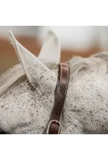 CommonWealth Banff Leather and Rope Halter Set