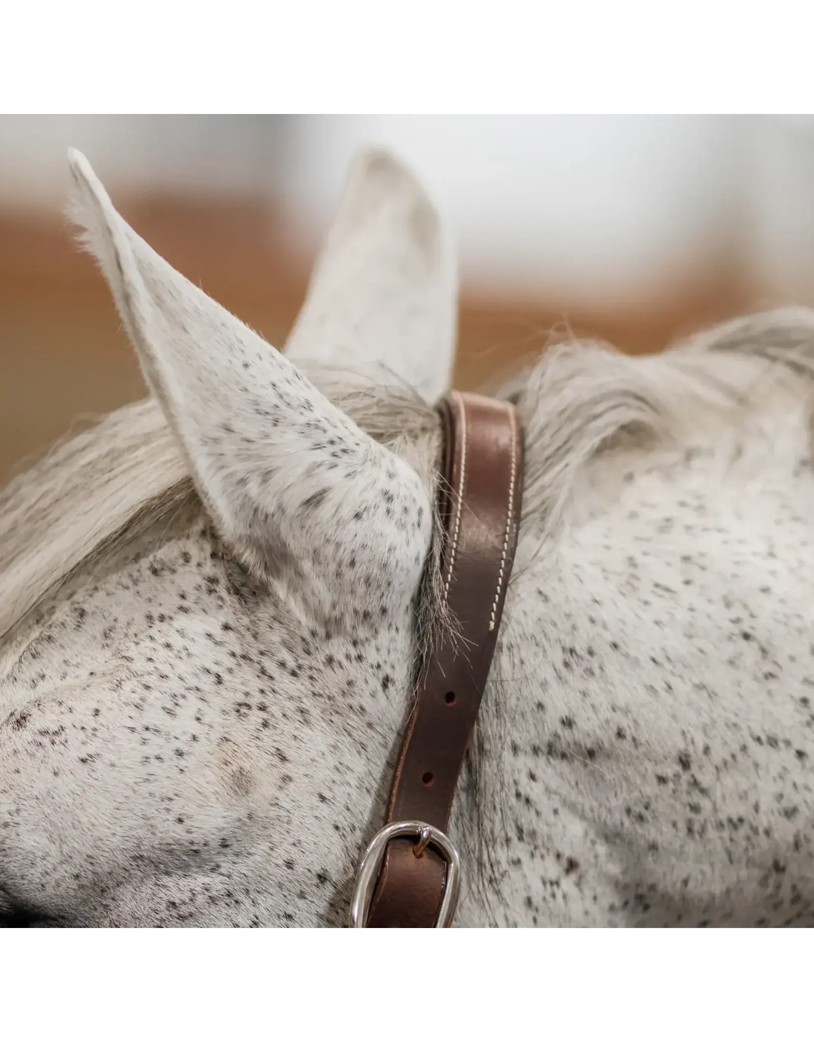 CommonWealth Banff Leather and Rope Halter Set