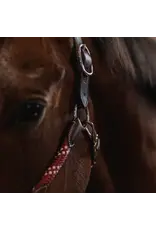 CommonWealth Banff Leather and Rope Halter Set