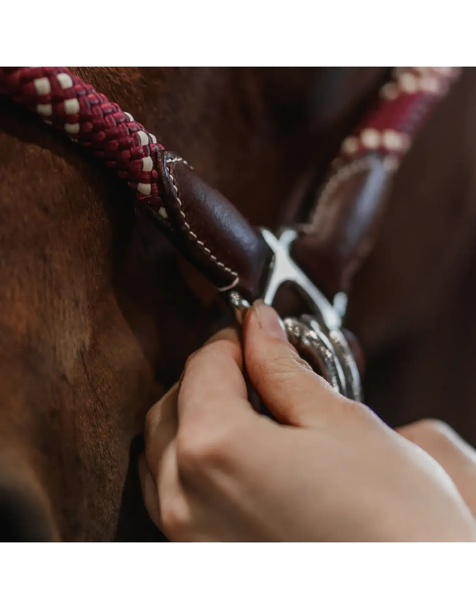 CommonWealth Banff Leather and Rope Halter Set
