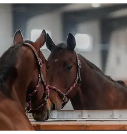 CommonWealth Banff Leather and Rope Halter Set