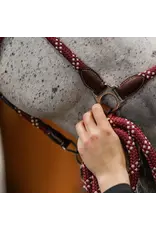 CommonWealth Banff Poly Rope and Leather Lead Burgandy/Cream