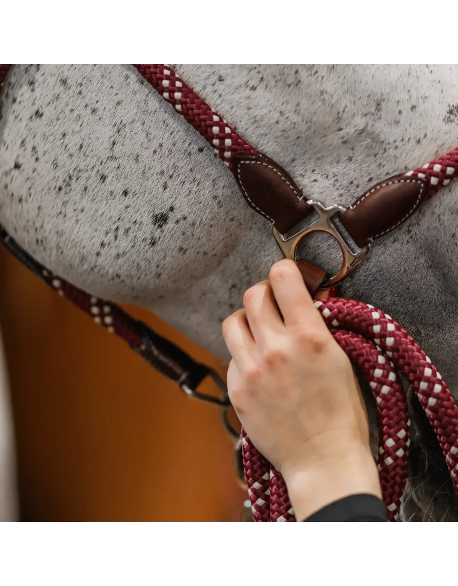 CommonWealth Banff Poly Rope and Leather Lead Burgandy/Cream
