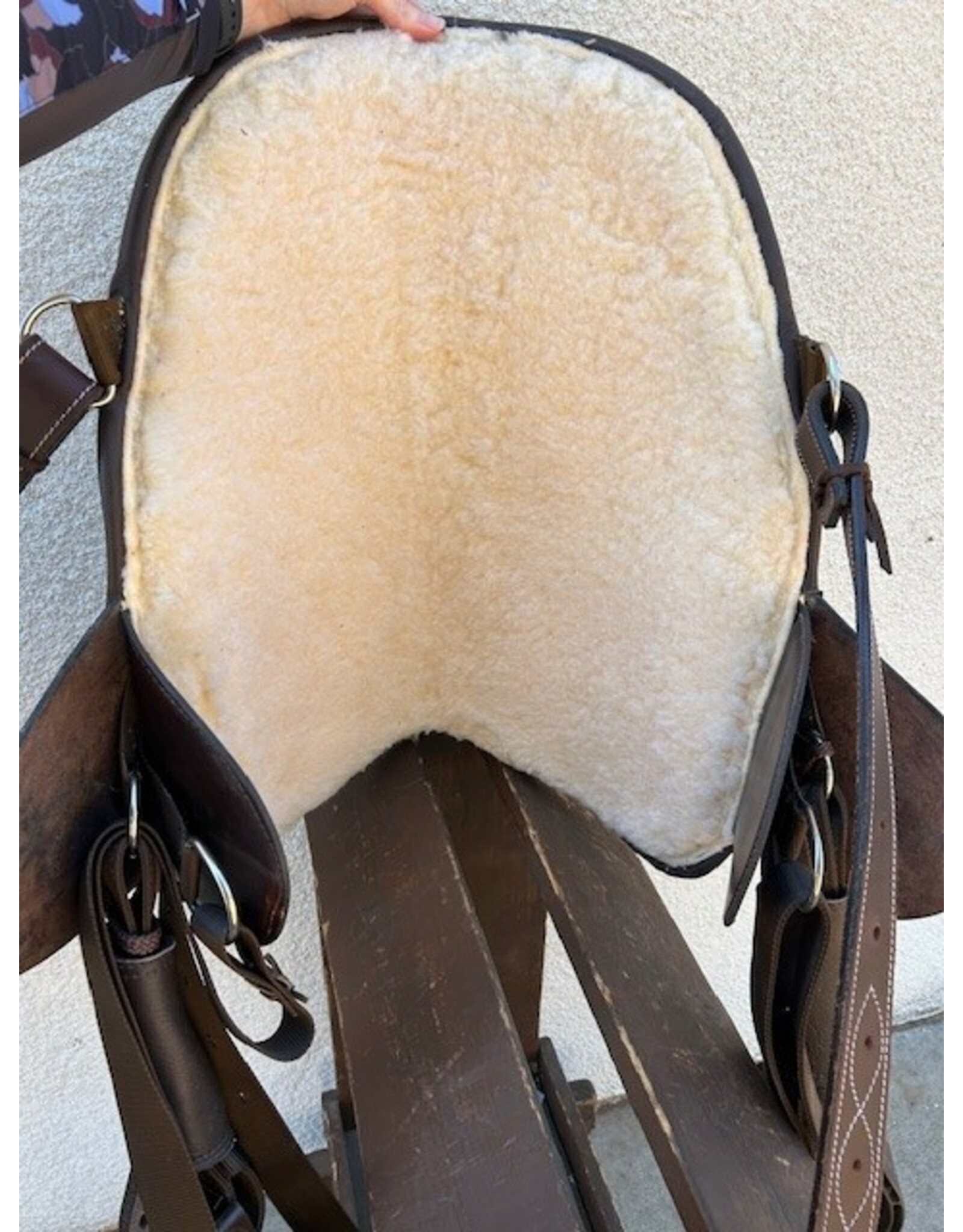 Bob Marshall Treeless Sports Saddle 14.5" Seat