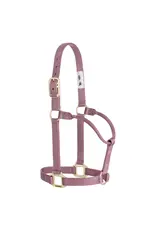 Weaver Non-Adjustable Nylon Solid Halter 1" Weaver Non-Adjustable Nylon Solid Halter 1"
