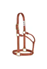 Weaver Non-Adjustable Nylon Solid Halter 1" Weaver Non-Adjustable Nylon Solid Halter 1"