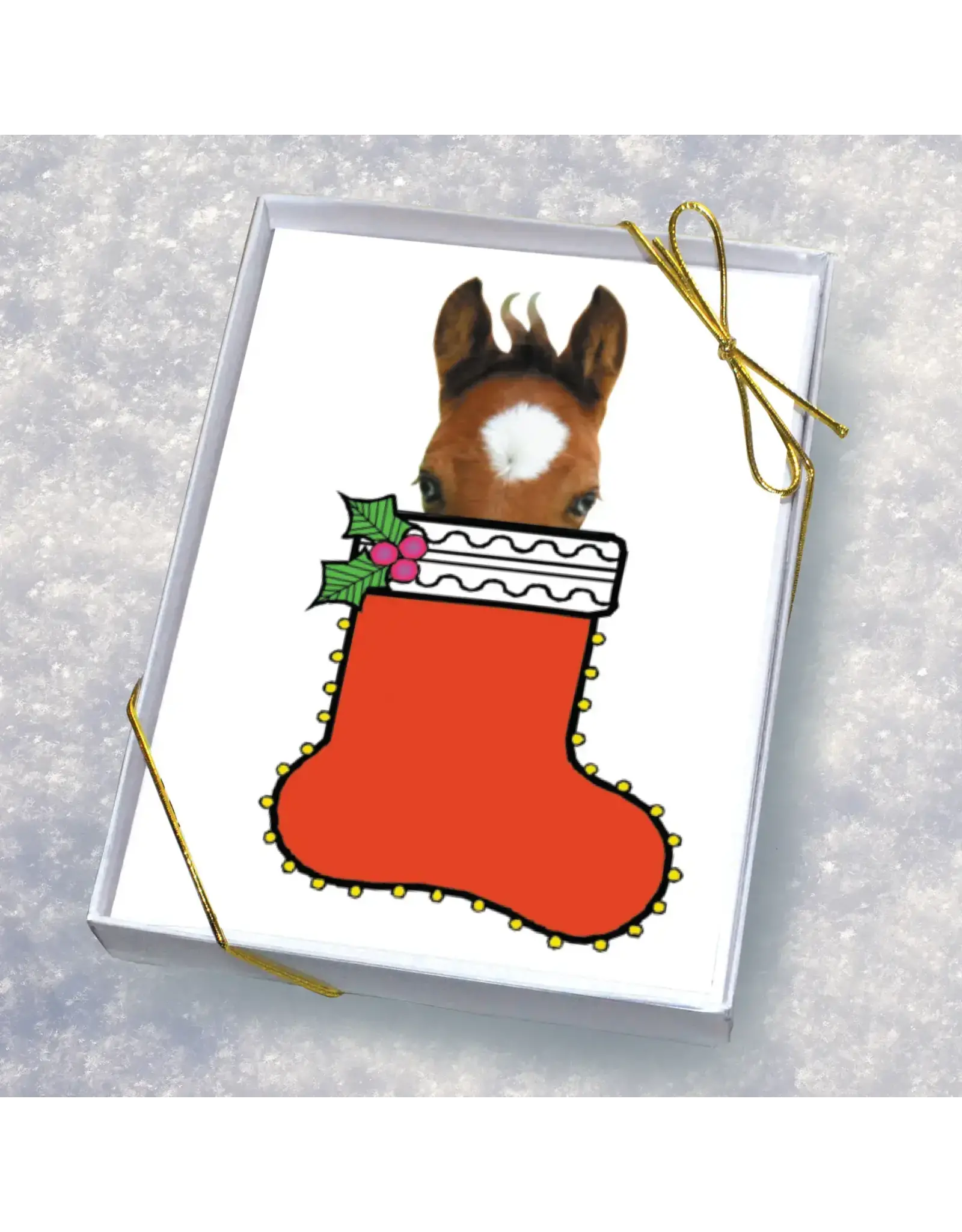 Horse Hollow Press Horse Boxed Christmas Cards Colt in Stocking 8
