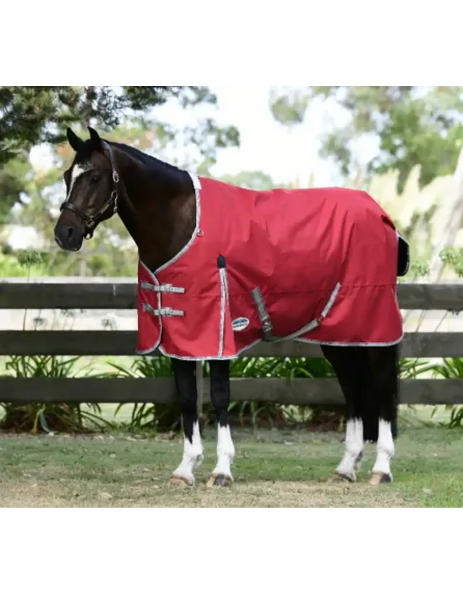 Weatherbeeta Comfitec Classic Standard Neck Lite Plus 50g