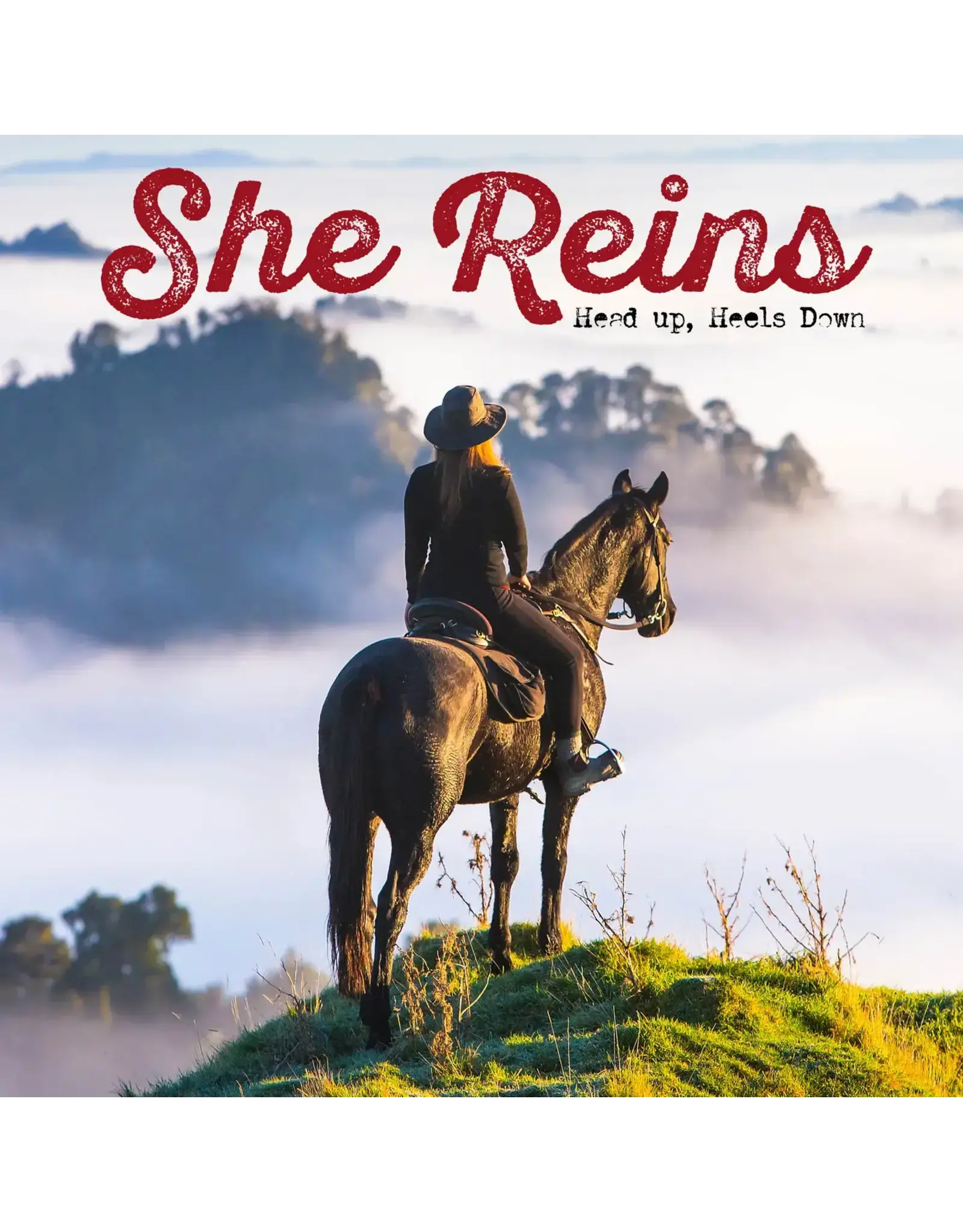 Willow Creek She Reins Book