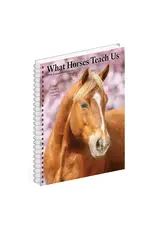 Willow Creek What Horses Teach Us 2026 6.5" X 8.5" Engagement Calendar