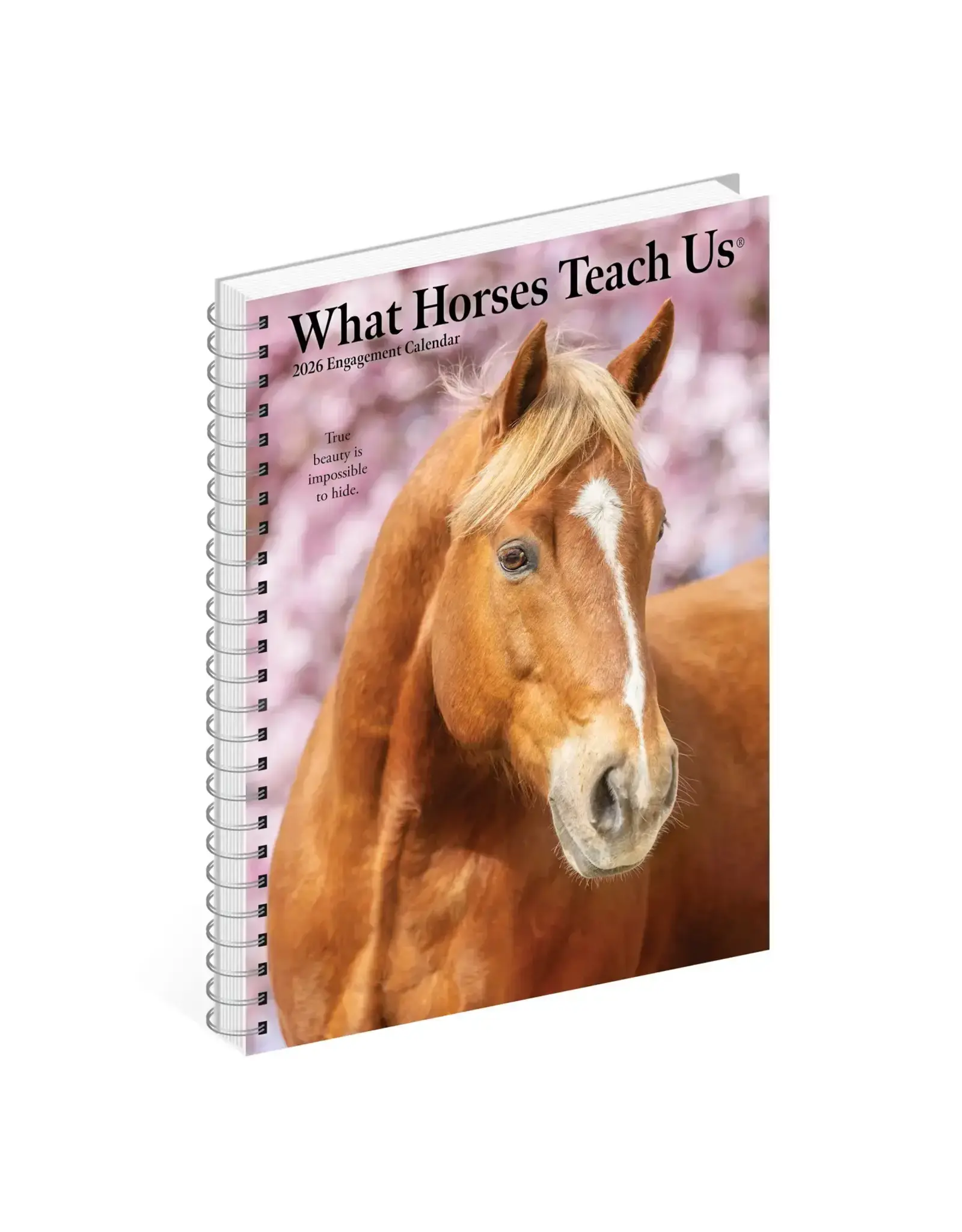 Willow Creek What Horses Teach Us 2026 6.5" X 8.5" Engagement Calendar
