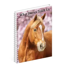 Willow Creek What Horses Teach Us 2026 6.5" X 8.5" Engagement Calendar
