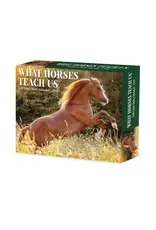 Willow Creek What Horses Teach Us 2026 Box Calendar, Daily Desktop