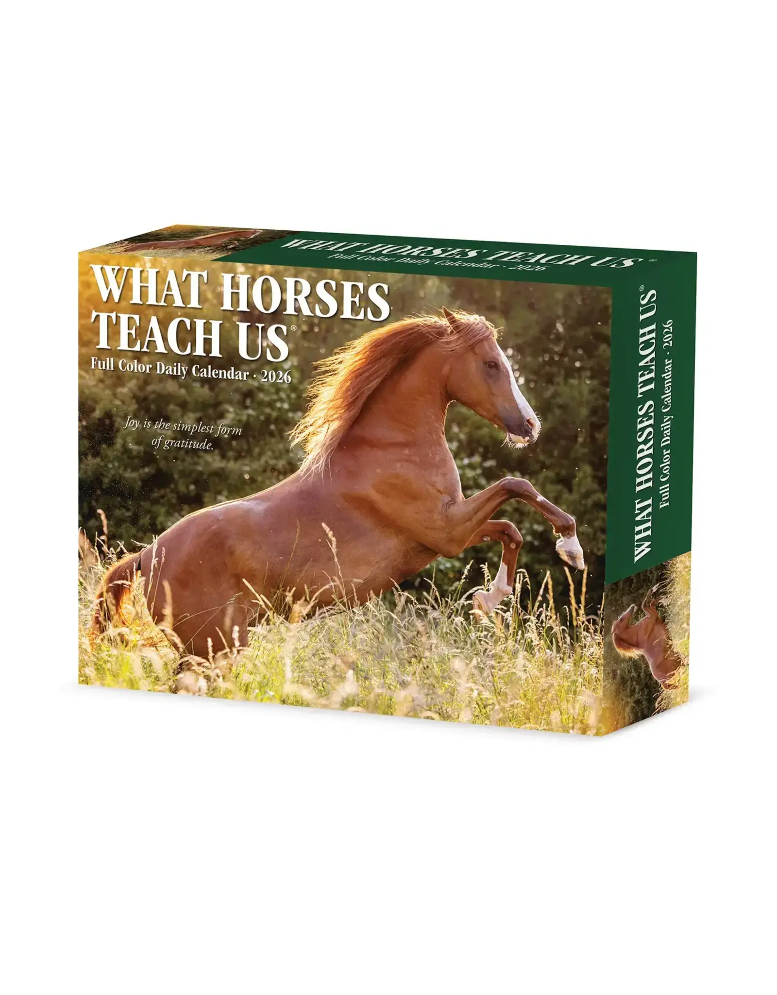 Willow Creek What Horses Teach Us 2026 Box Calendar, Daily Desktop