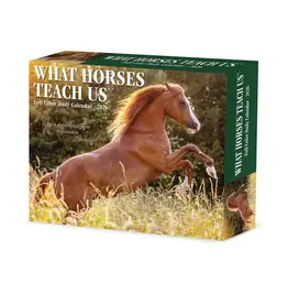 Willow Creek What Horses Teach Us 2026 Box Calendar, Daily Desktop