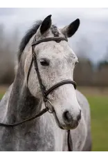 Grewal Thornberry Round Raised Hunter Bridle