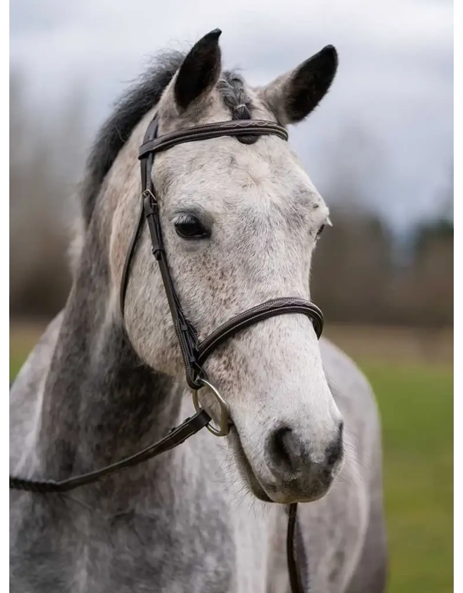 Grewal Thornberry Round Raised Hunter Bridle