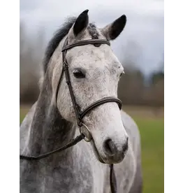 Grewal Thornberry Round Raised Hunter Bridle