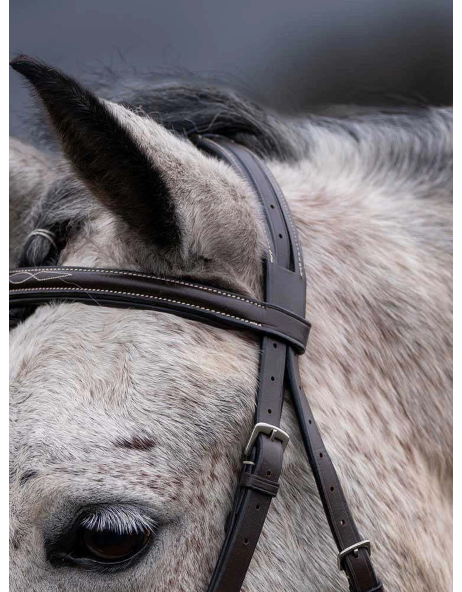 Grewal Thornberry Round Raised Hunter Bridle
