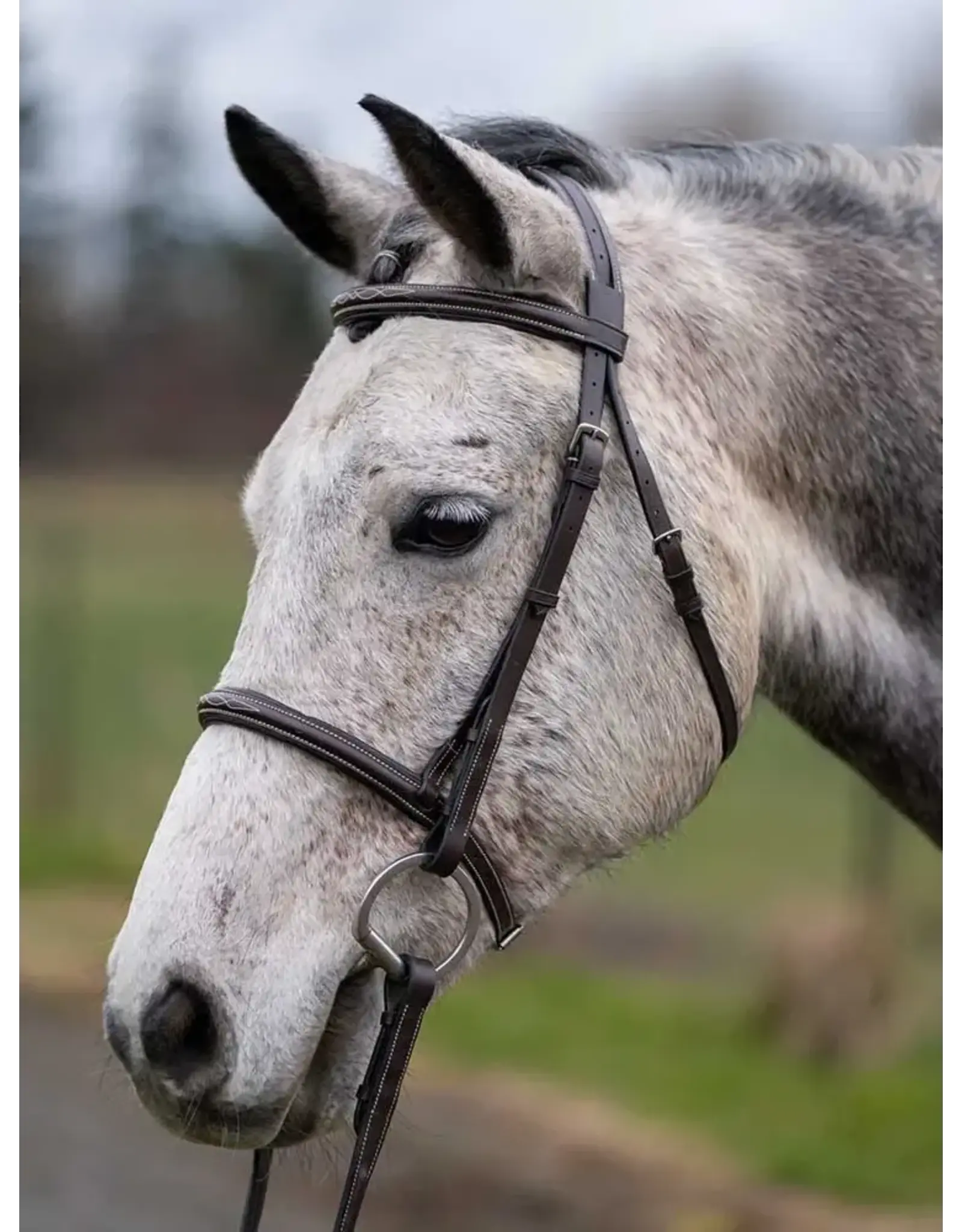 Grewal Thornberry Round Raised Hunter Bridle