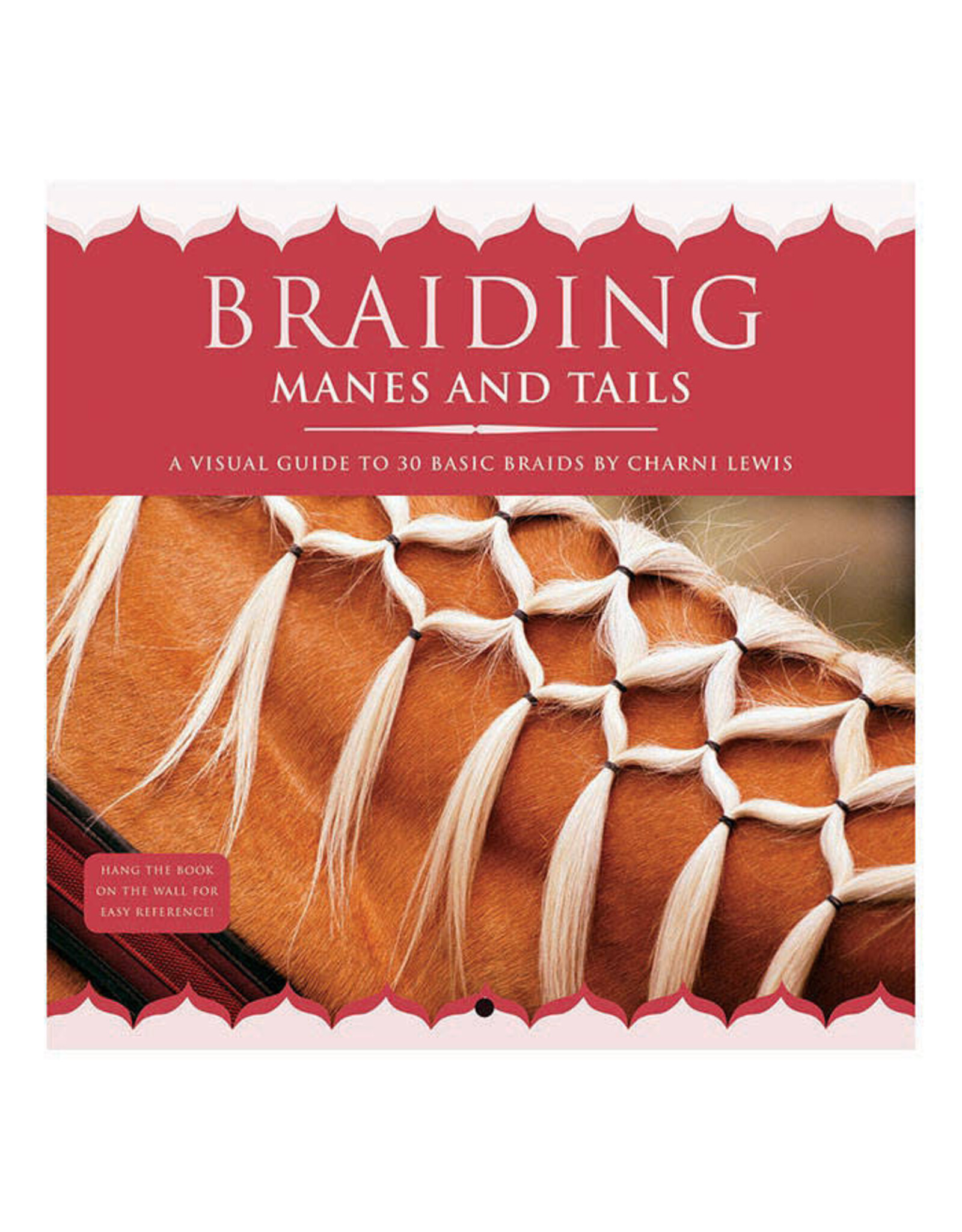 Braiding Manes And Tails Book