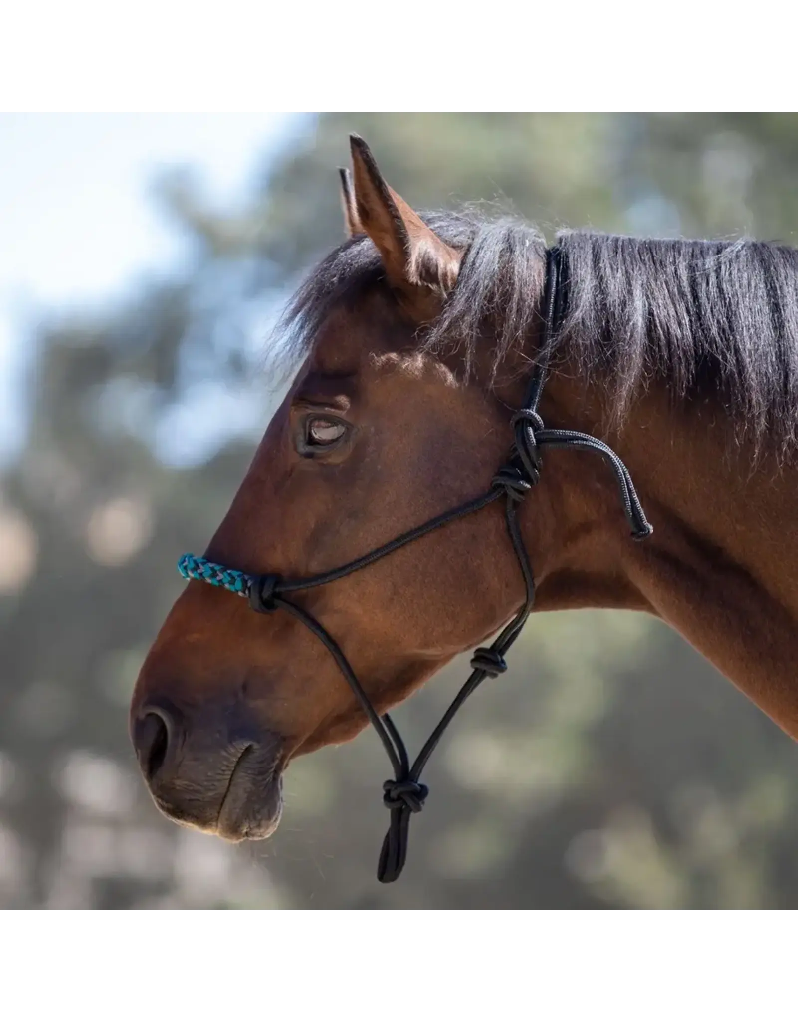 Kensington Clinician Rope Halter