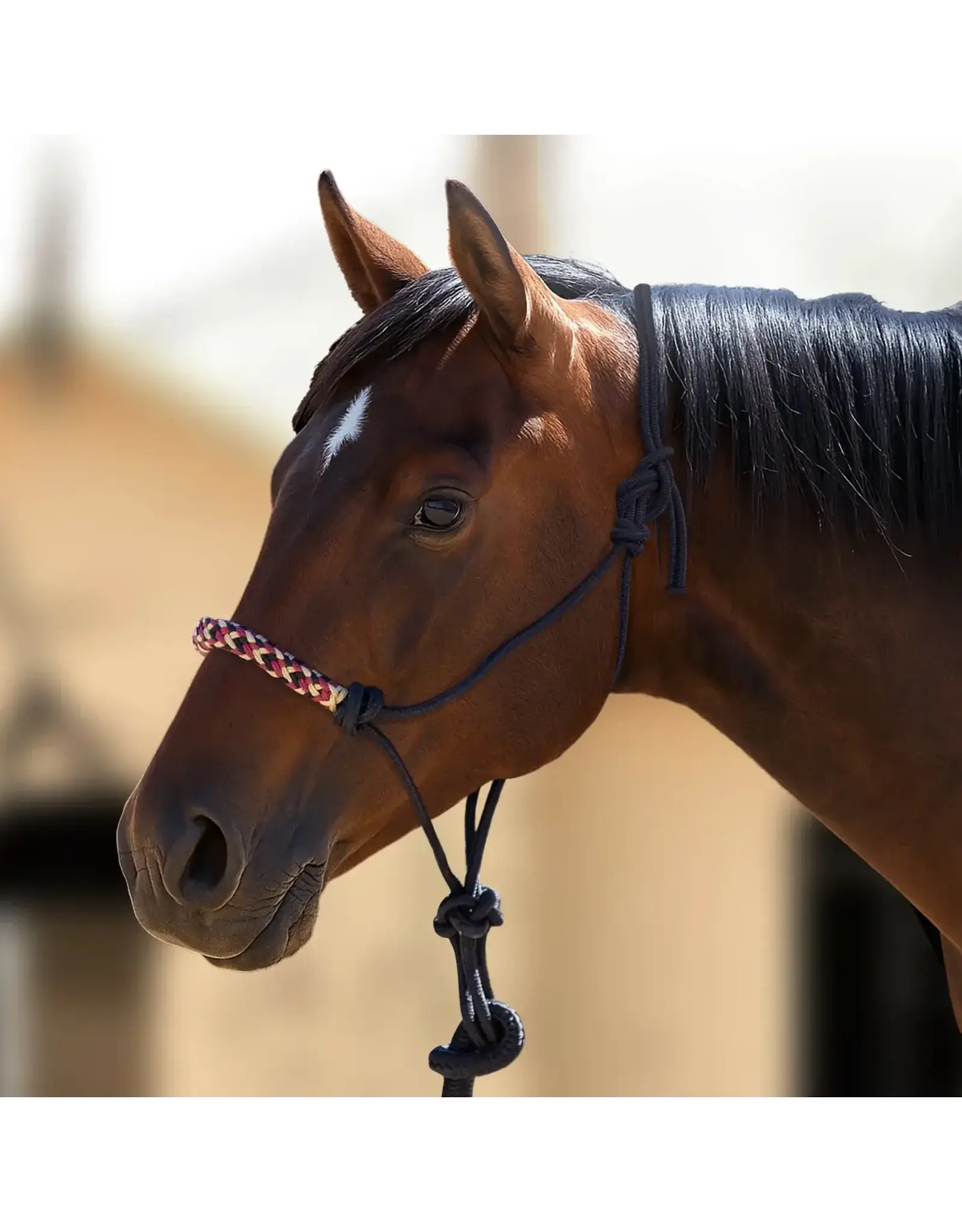 Kensington Clinician Rope Halter