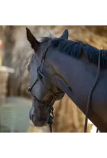 Kensington Clinician Rope Halter