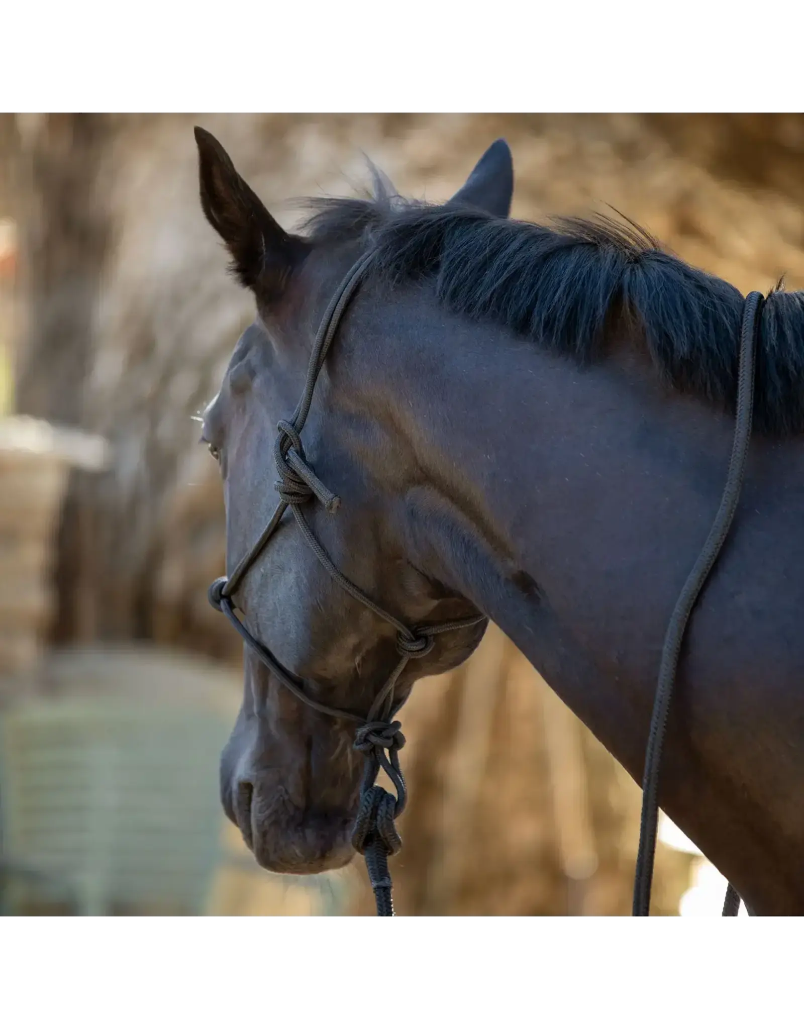 Kensington Clinician Rope Halter