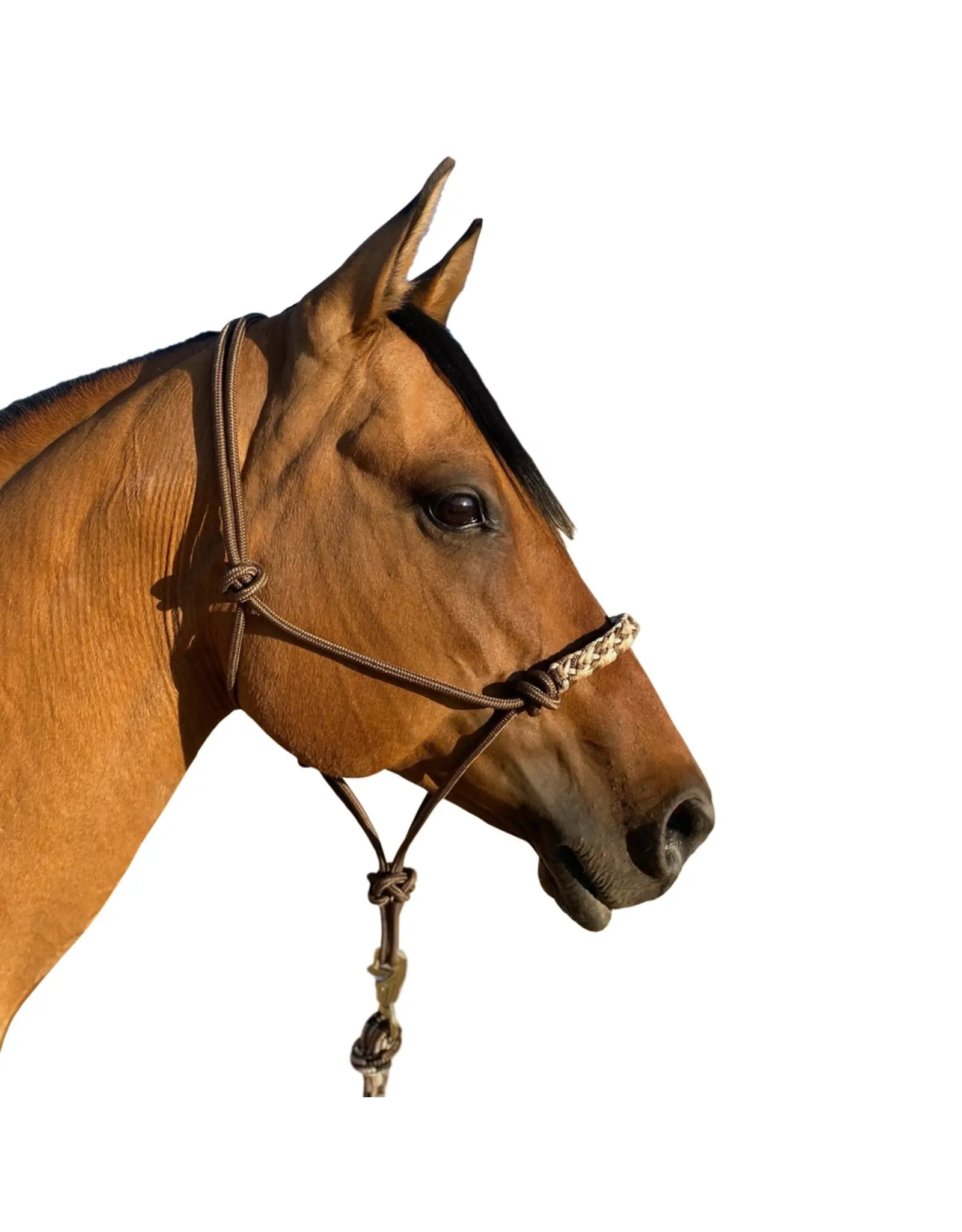 Kensington Clinician Rope Halter