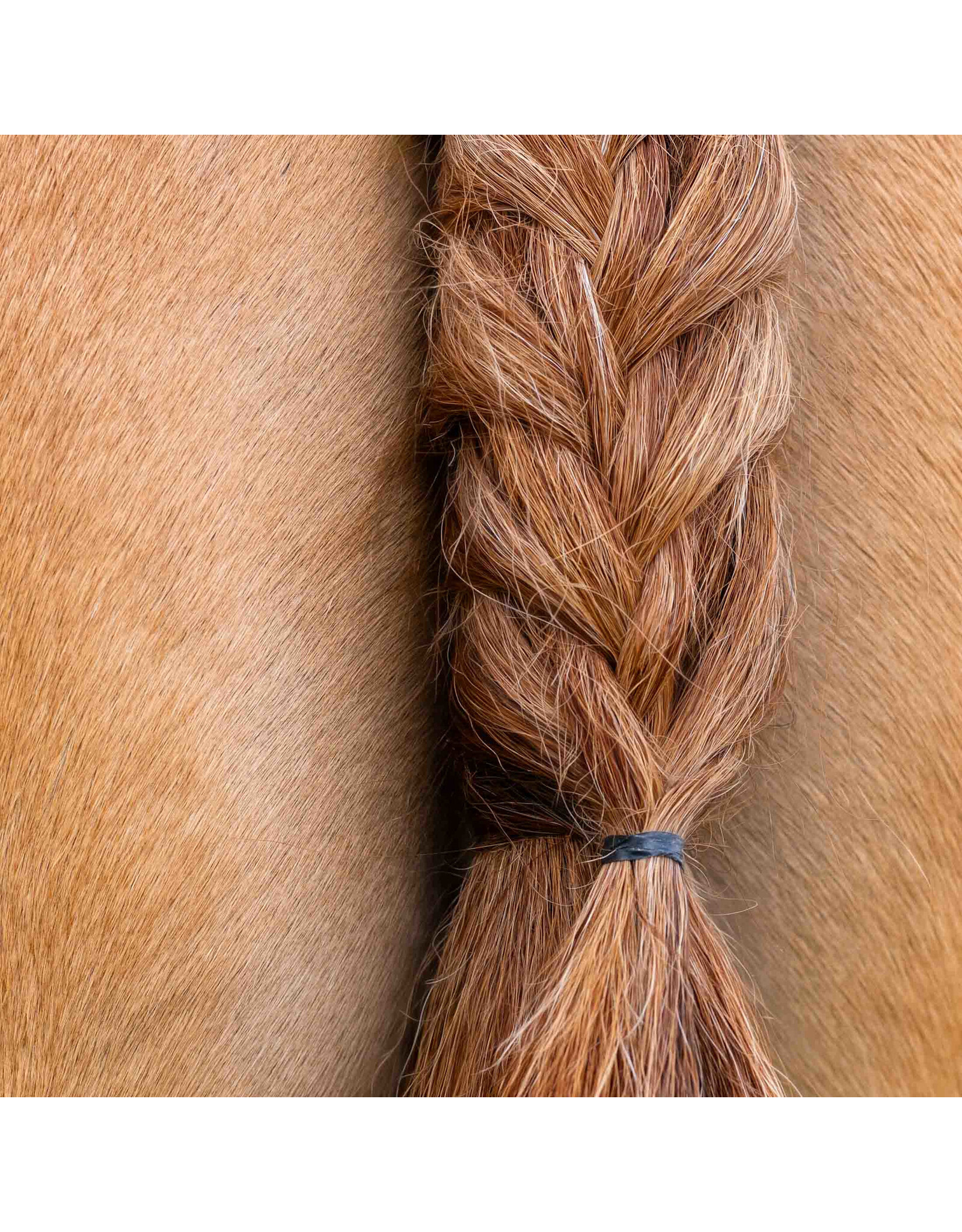 Horze Silicone Rubber Plaiting Band