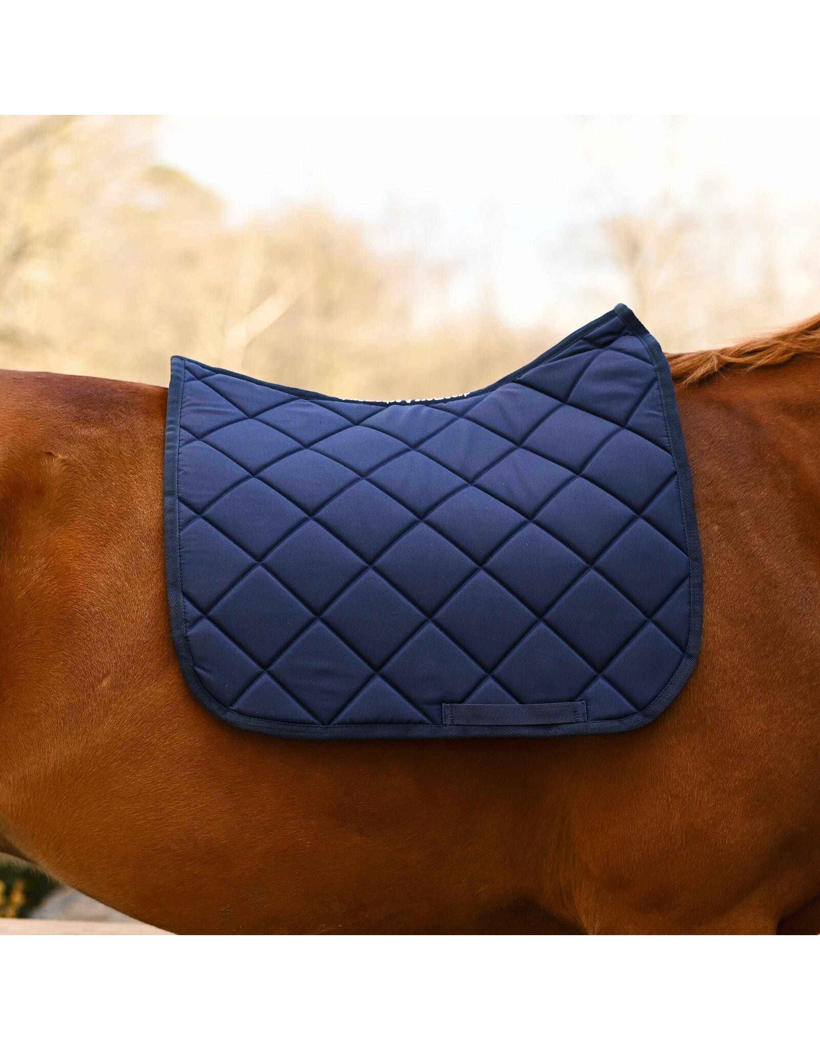 Dreamers and Schemers D & S Solid Saddle Pad