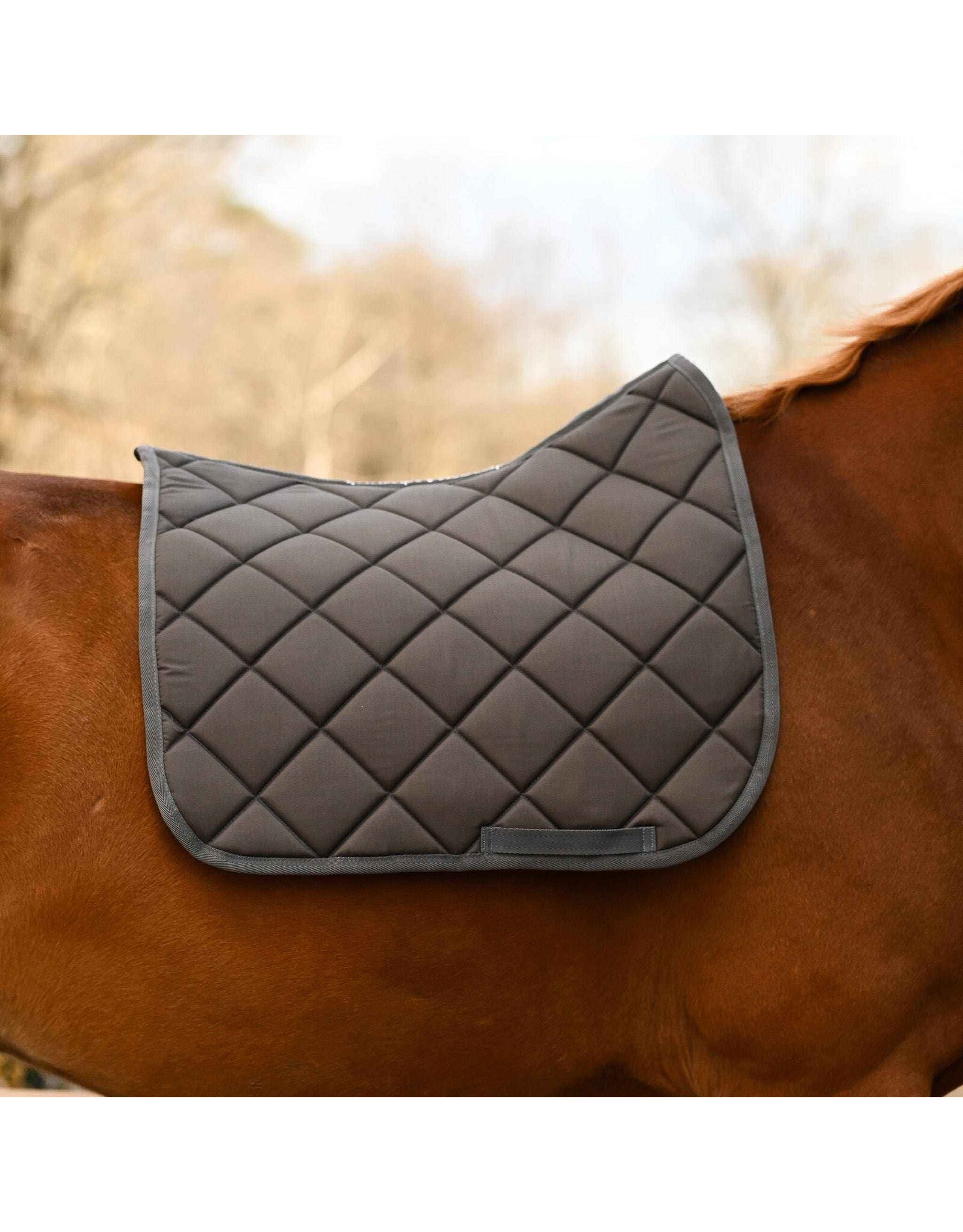 Dreamers and Schemers D & S Solid Saddle Pad