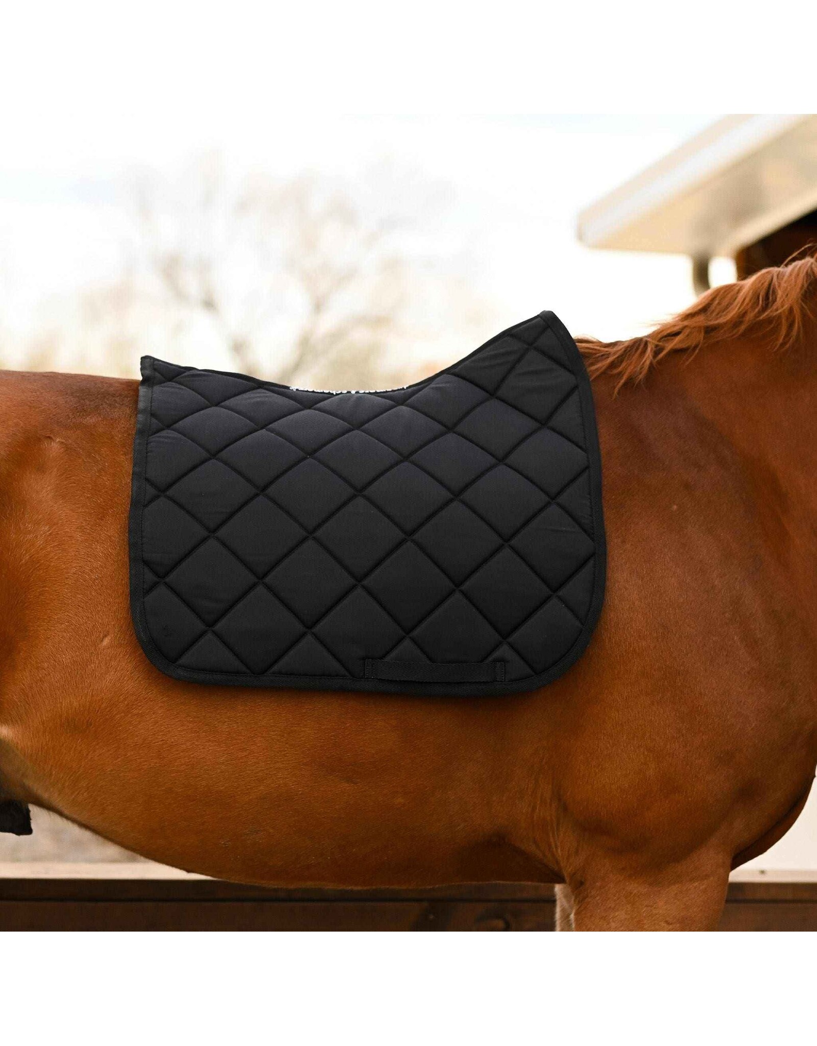 Dreamers and Schemers D & S Solid Saddle Pad