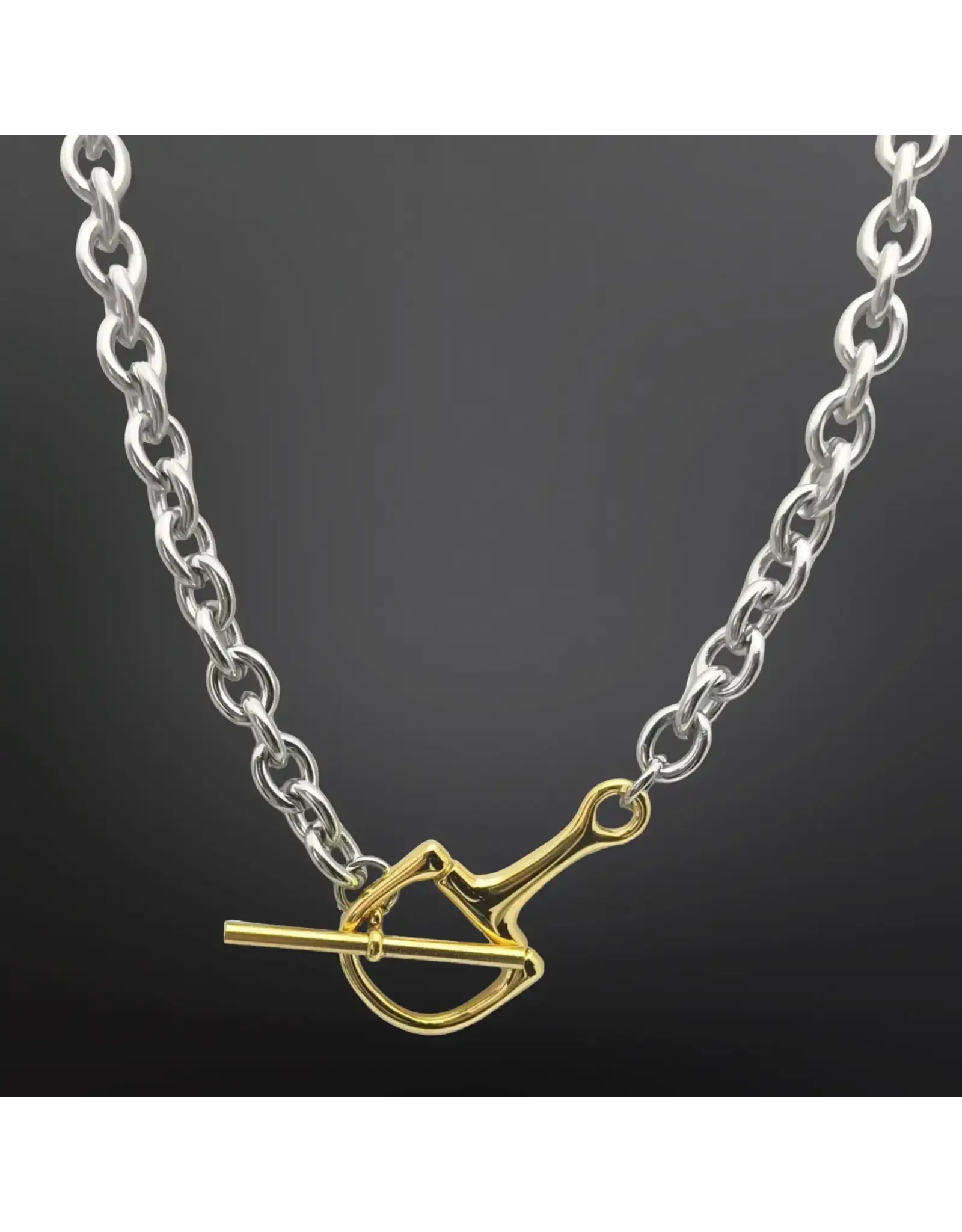 Westrian Stainless Steel Equestrian Snaffle Bit Two Tone Necklace