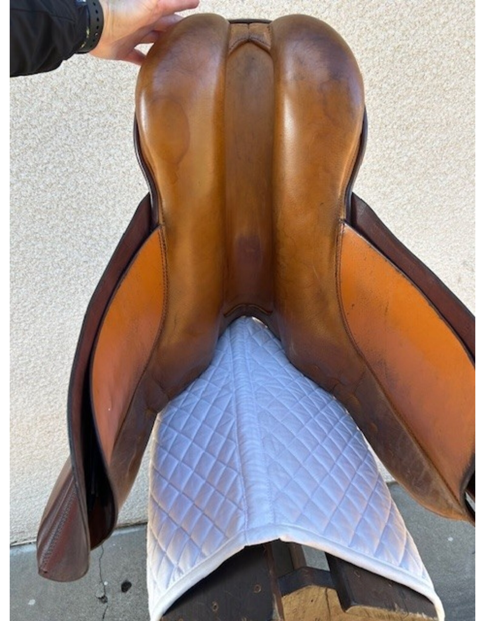 Stubben Siegfried AP Saddle 18" Seat 5.5" Gullet