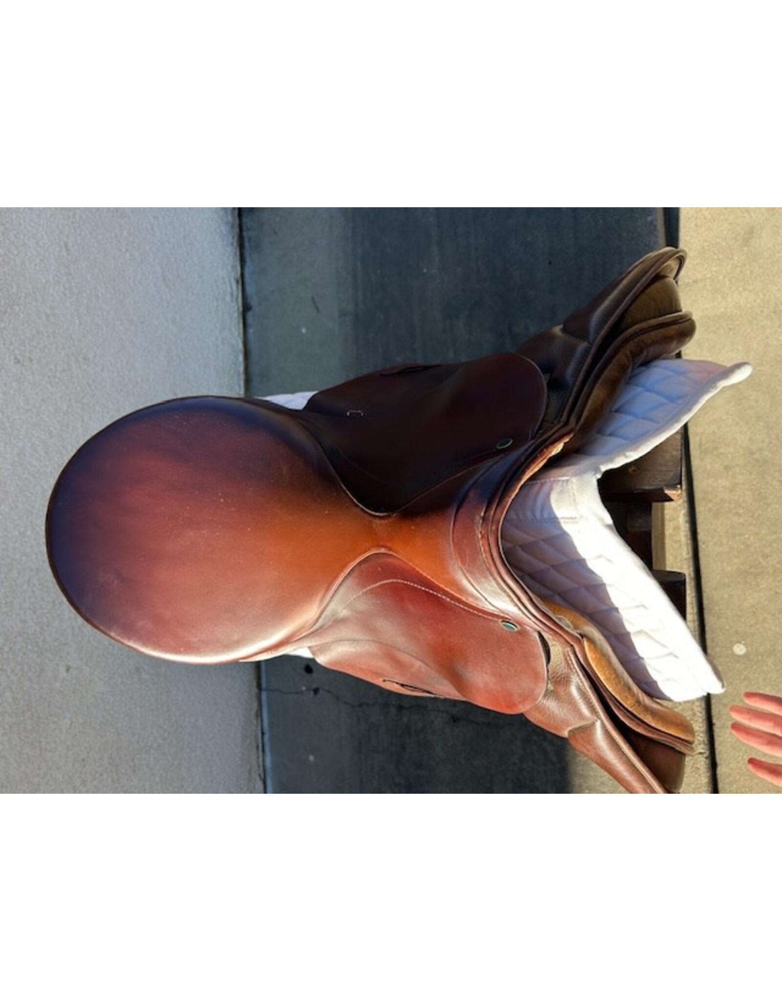 Stubben Siegfried AP Saddle 18" Seat 5.5" Gullet