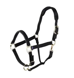 Halter Topaz Leather Breakaway Nylon