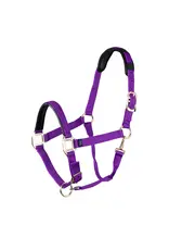 Halter Topaz Leather Breakaway Nylon