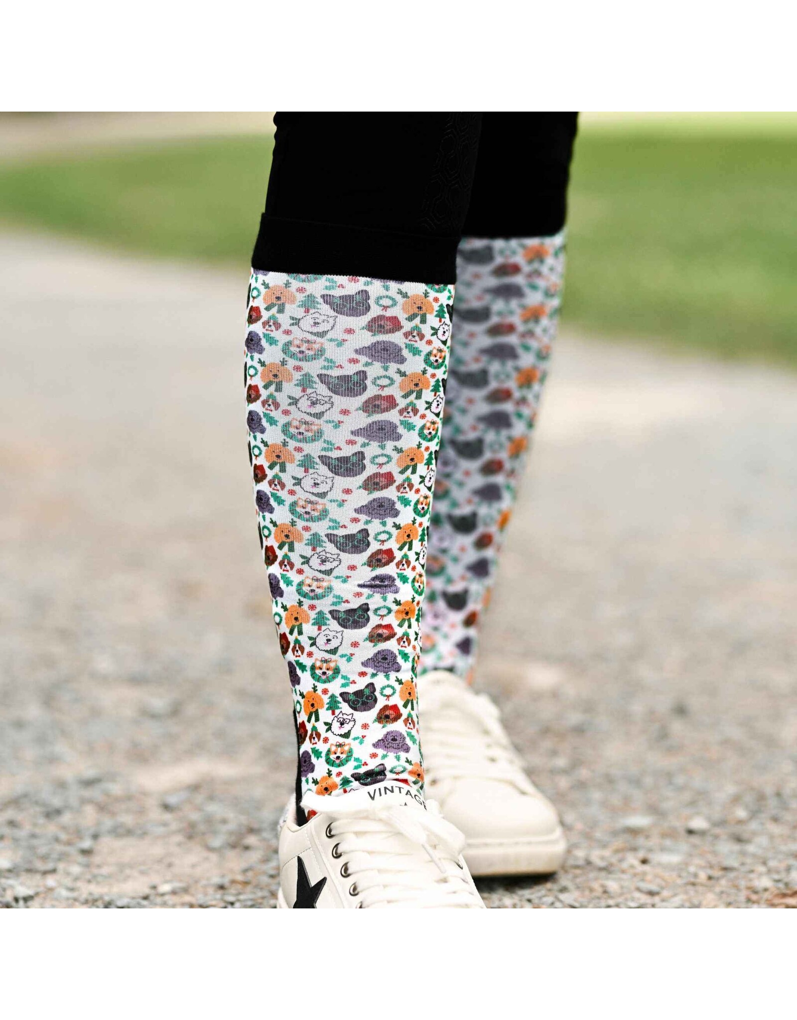 Dreamers and Schemers Socks Pair and a Spare Adult