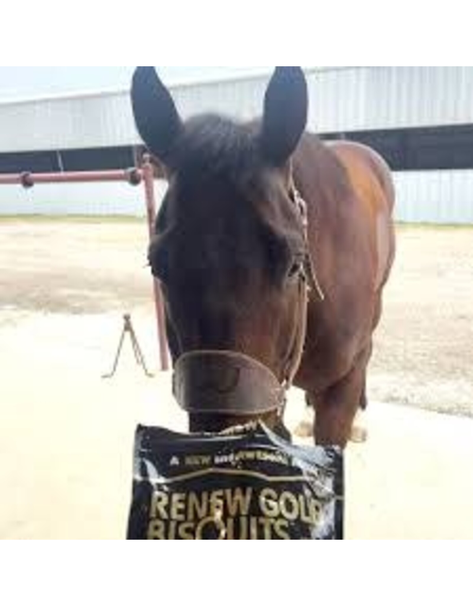 Renew Gold Bisquits 32oz.