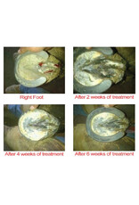 The Blacksmith Shop Outlaw Hoof Canker Care 8oz.