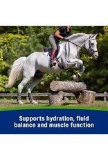 Farnam Apple Elite Electrolyte Paste Apple Flavor Horse Supplement 60-mL syringe