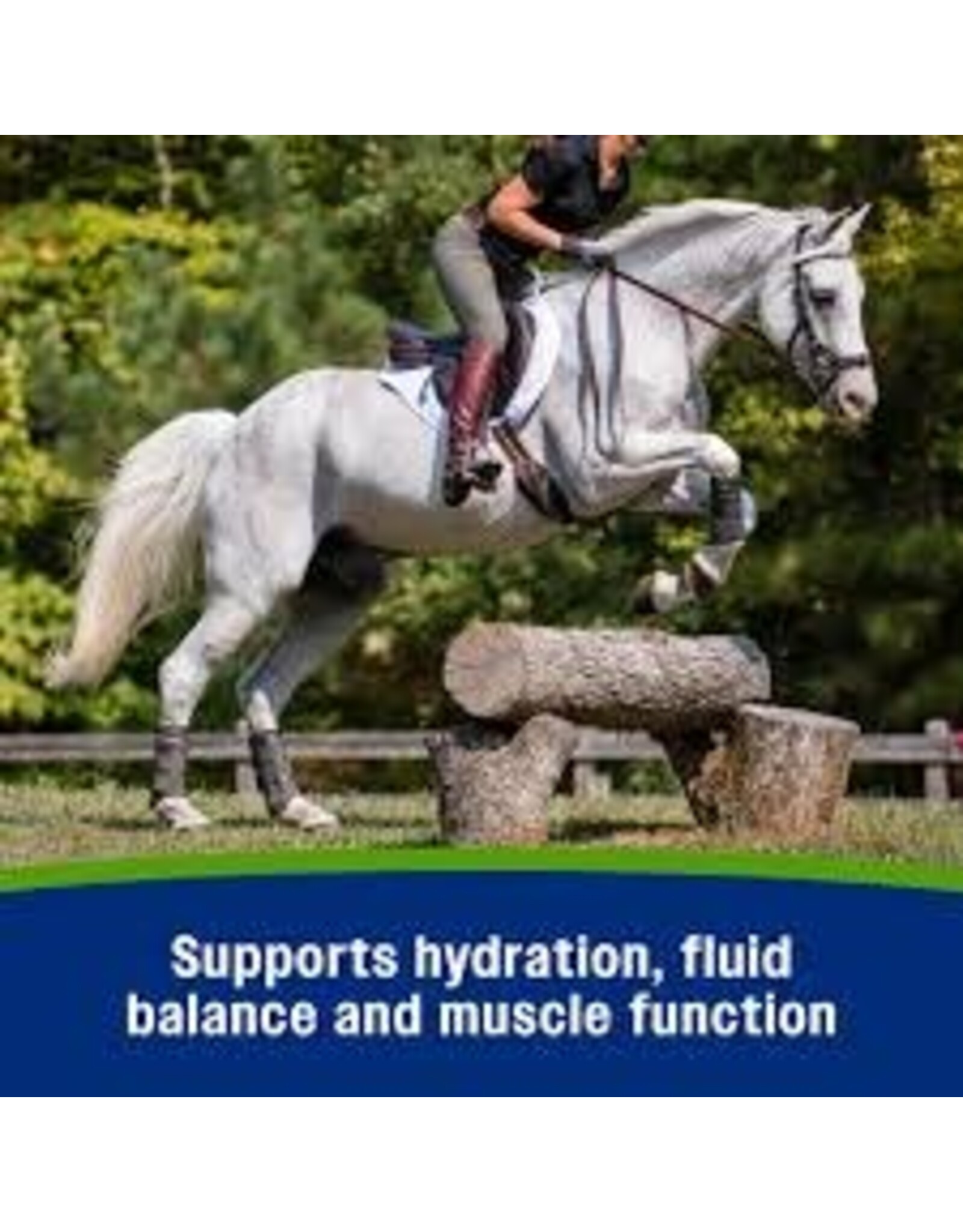 Farnam Apple Elite Electrolyte Paste Apple Flavor Horse Supplement 60-mL syringe