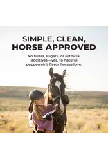 Redmond IsoBalance Horse Electrolyte Paste